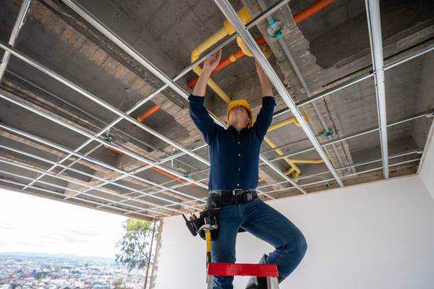 Best Clogged Drain Plumber  in Lakehurst, NJ